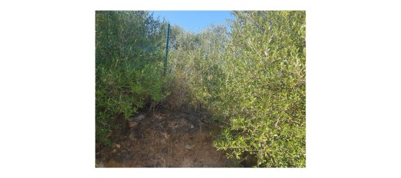 Terreno em Cascais, Portugal N.º 139556 9