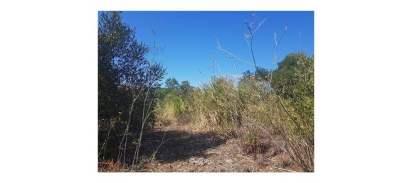 Terreno em Cascais, Portugal N.º 139556 6