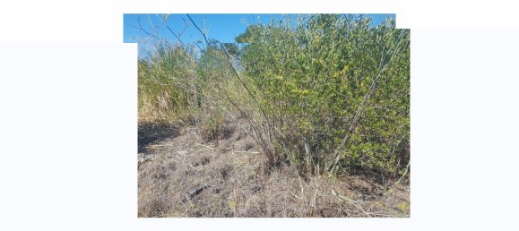 Terreno em Cascais, Portugal N.º 139556 12