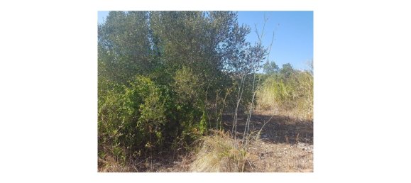 Terreno em Cascais, Portugal N.º 139556 7