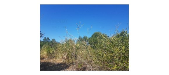 Terreno em Cascais, Portugal N.º 139556 8