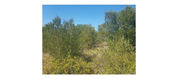 Terreno em Cascais, Portugal N.º 139556 4