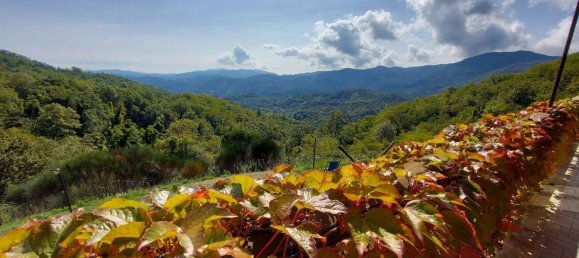 10-Zimmer Villa in Carro, Italy, Nr. 276156 44