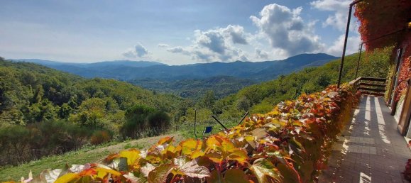 10-Zimmer Villa in Carro, Italy, Nr. 276156 45