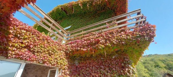 10-Zimmer Villa in Carro, Italy, Nr. 276156 16