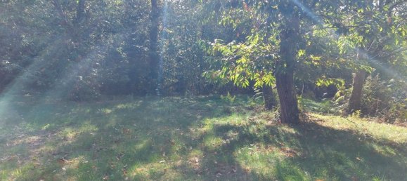 10-Zimmer Villa in Carro, Italy, Nr. 276156 4