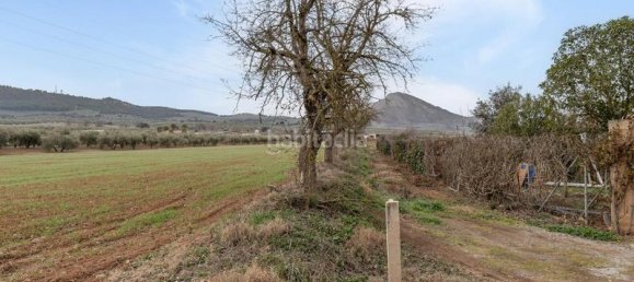 Grundstück in Albolote, Spain 9337m², Nr. 179319 31