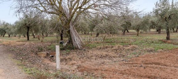 Grundstück in Albolote, Spain 9337m², Nr. 179319 10