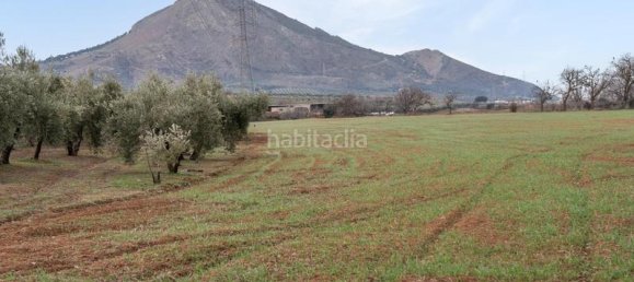 Grundstück in Albolote, Spain 9337m², Nr. 179319 12