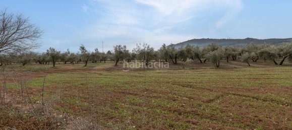 Grundstück in Albolote, Spain 9337m², Nr. 179319 41