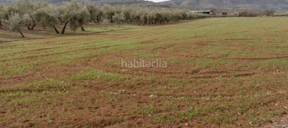 Grundstück in Albolote, Spain 9337m², Nr. 179319 44