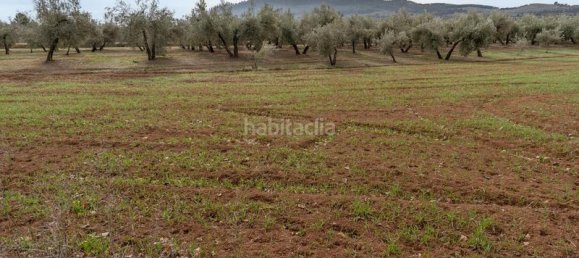 Grundstück in Albolote, Spain 9337m², Nr. 179319 45