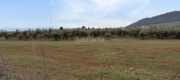 Grundstück in Albolote, Spain 9337m², Nr. 179319 24