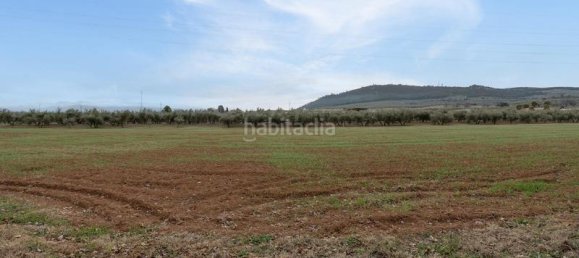 Grundstück in Albolote, Spain 9337m², Nr. 179319 33