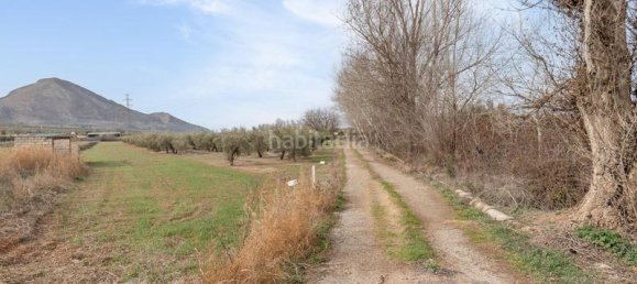 Grundstück in Albolote, Spain 9337m², Nr. 179319 4