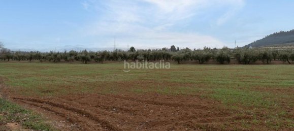 Grundstück in Albolote, Spain 9337m², Nr. 179319 35