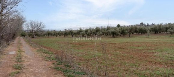 Grundstück in Albolote, Spain 9337m², Nr. 179319 25