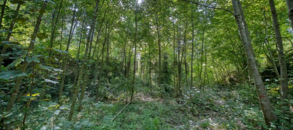  قطعة أرض في Genolhac, France رقم 106151 2