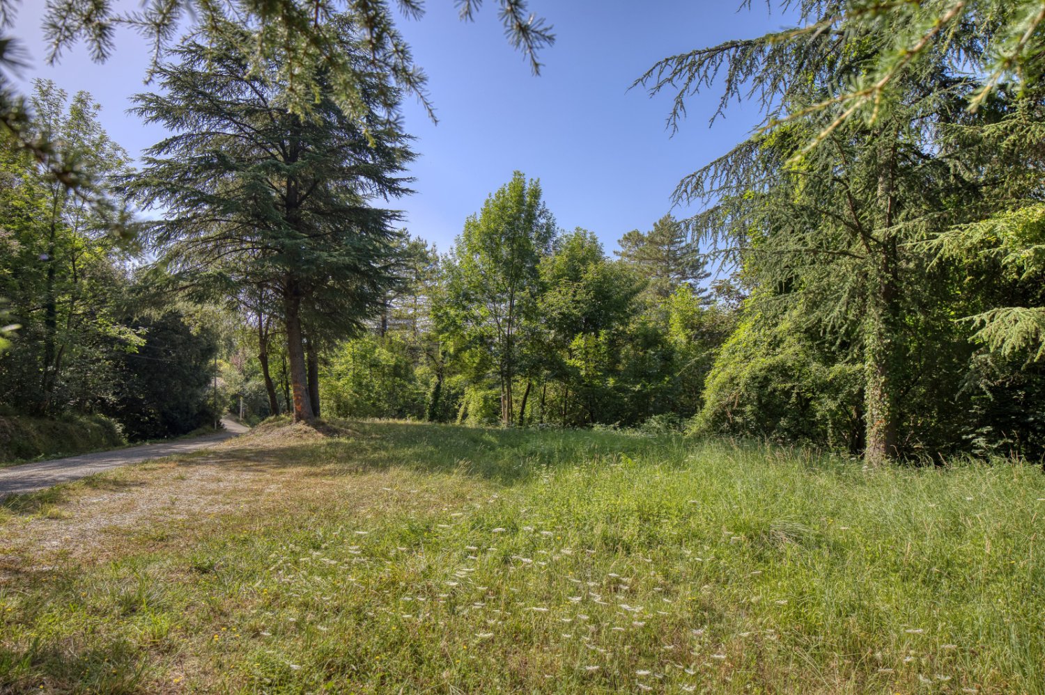  قطعة أرض في Genolhac, France رقم 106151