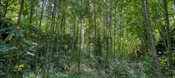  قطعة أرض في Genolhac, France رقم 106151 6