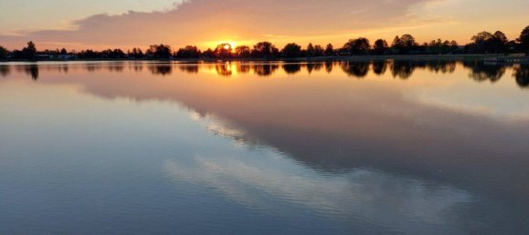 2-Zimmer Bungalow in Trausdorf an der Wulka, Austria, Nr. 219737 3