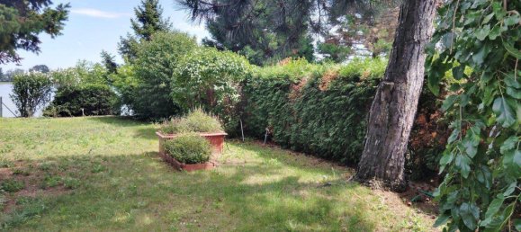 2-Zimmer Bungalow in Trausdorf an der Wulka, Austria, Nr. 219737 17