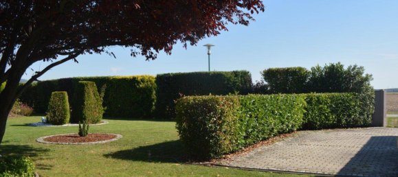 6غرفة منزل في Engelhartstetten, Austria رقم 234716 26