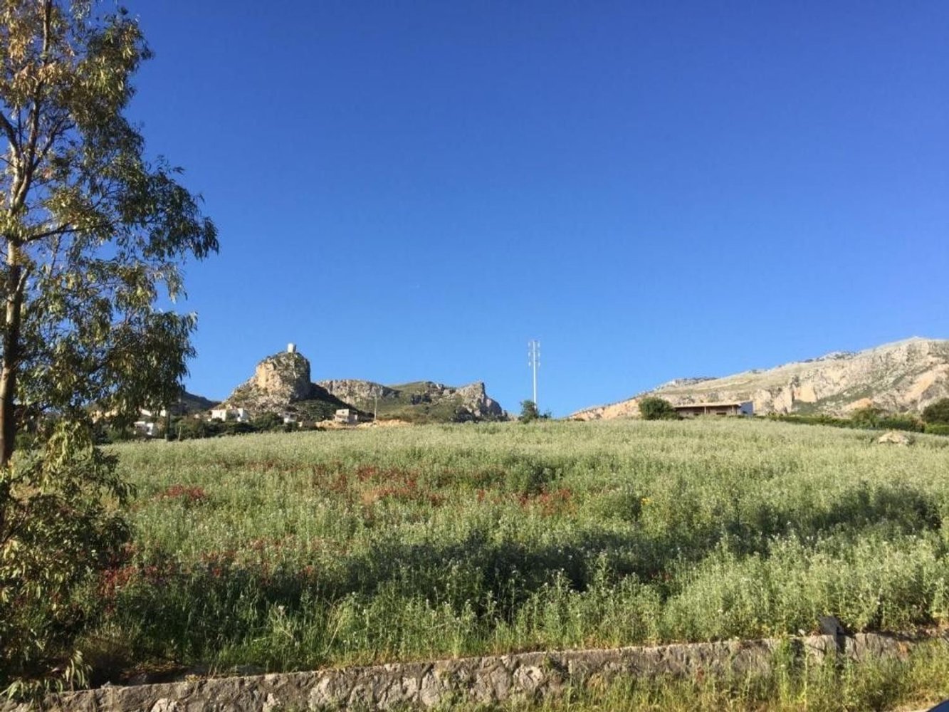 11200m² Land in Castellammare del Golfo, Italy No. 261010