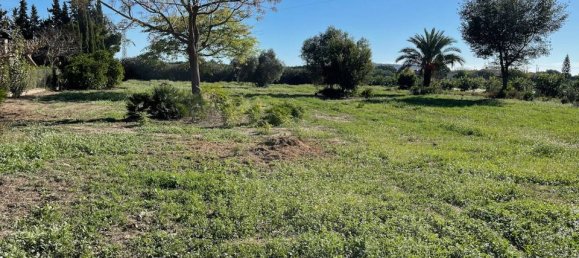 4 Schlafzimmer Grundstück in Daya Vieja, Spain, Nr. 185200 50