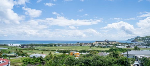 5 غرف نوم فيلا في Frigate Bay, Saint Kitts and Nevis رقم 68 11