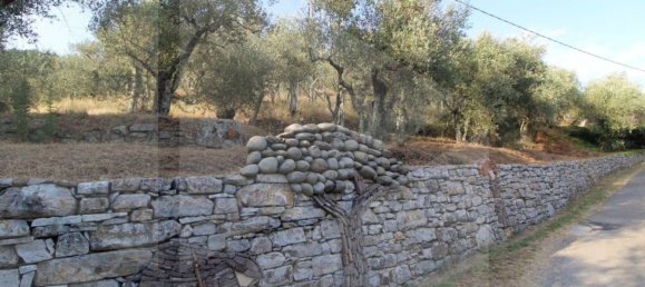 Terreno en Buti, Italy 6000 m² No. 21331 3