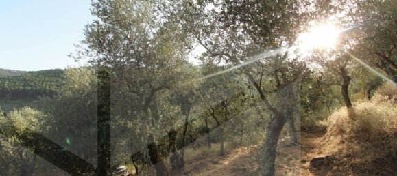 Terreno en Buti, Italy 6000 m² No. 21331 17