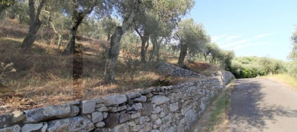 Terreno en Buti, Italy 6000 m² No. 21331 6