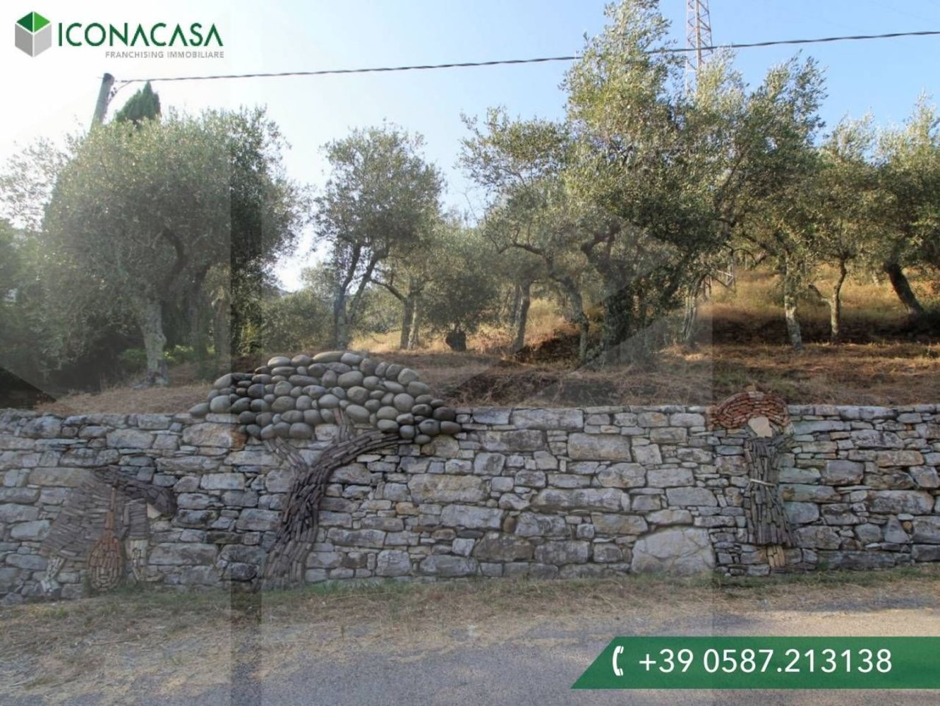 Terreno en Buti, Italy 6000 m² No. 21331