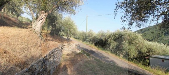 Terreno en Buti, Italy 6000 m² No. 21331 13