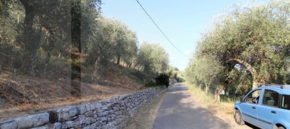 Terreno en Buti, Italy 6000 m² No. 21331 19