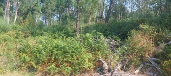 Grundstück in Valenca, Portugal 3646m², Nr. 58694 5