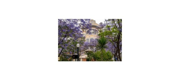 4 bedrooms Apartment in Lisbon, Portugal No. 9625 19