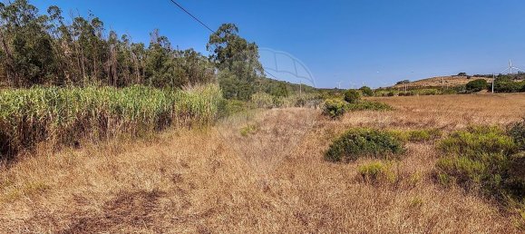  Land in Vila do Bispo, Portugal No. 323155 7