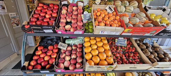 Gewerbliche Immobilie in Gracay, France 300m², Nr. 269115 6