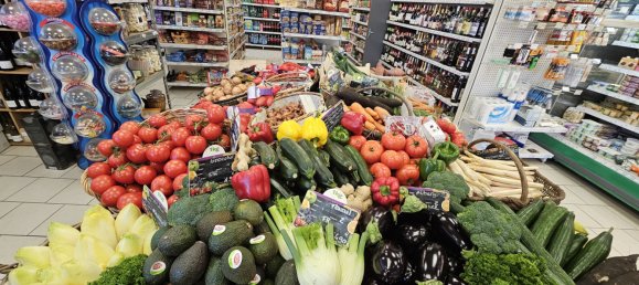 Gewerbliche Immobilie in Gracay, France 300m², Nr. 269115 3