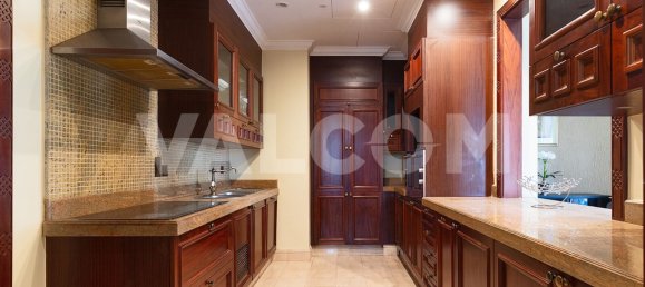 Penthouse in Downtown Dubai (Downtown Burj Dubai), UAE 291m², Nr. 12805 6