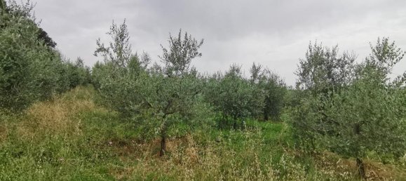 Земельный участок 3500м² в Капанноли, Италия № 119629 13