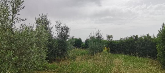 Земельный участок 3500м² в Капанноли, Италия № 119629 14