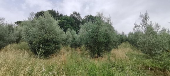 Земельный участок 3500м² в Капанноли, Италия № 119629 11