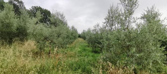 Земельный участок 3500м² в Капанноли, Италия № 119629 15