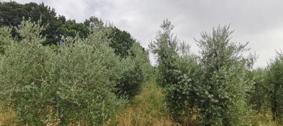 Земельный участок 3500м² в Капанноли, Италия № 119629 8