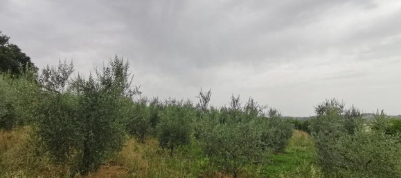 Земельный участок 3500м² в Капанноли, Италия № 119629 10