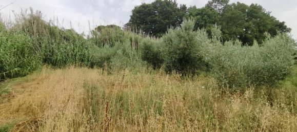 Земельный участок 3500м² в Капанноли, Италия № 119629 3