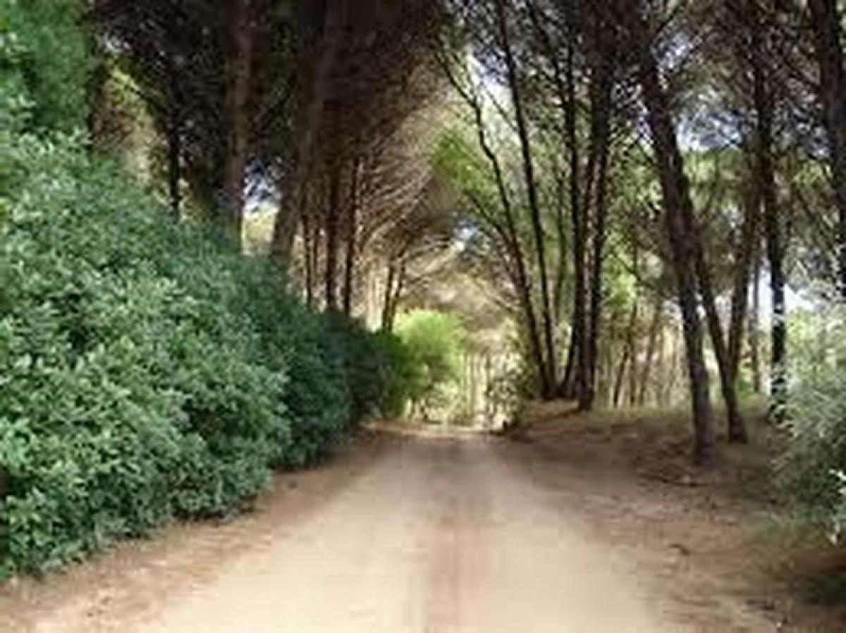 Земельный участок в Мар-дель-Плата, Аргентина № 119312